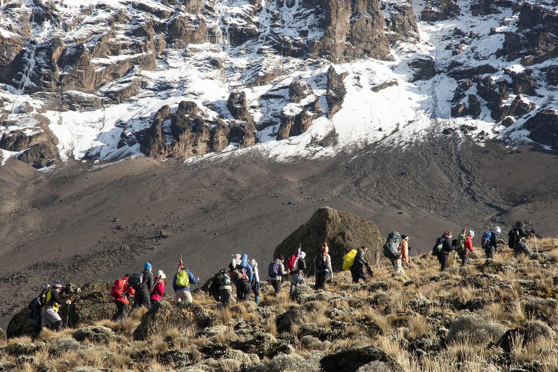 There is a huge amount of diversity on the mountain. 