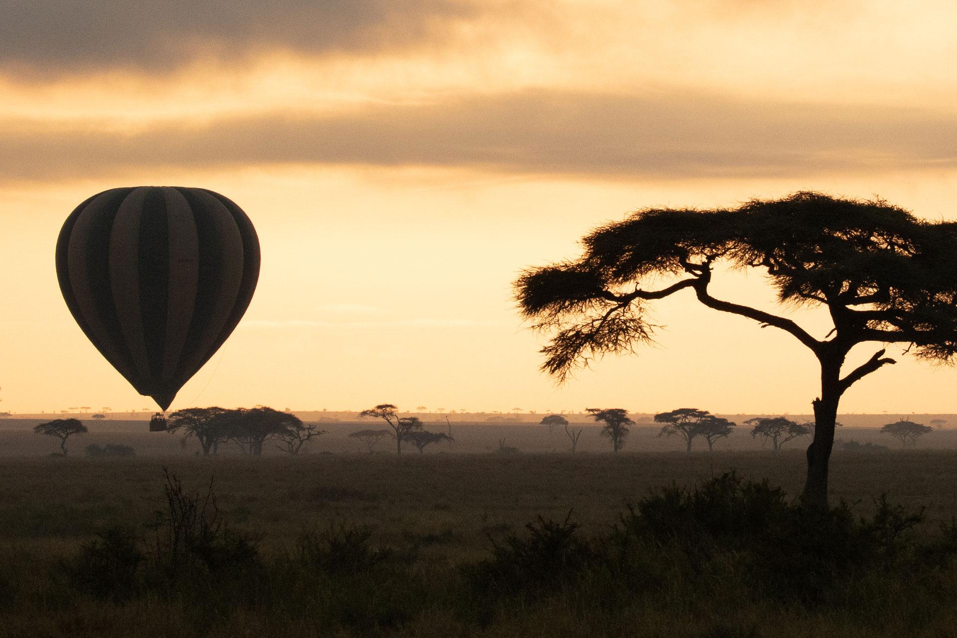 Balloon flight very early in the morning over the Serengeti