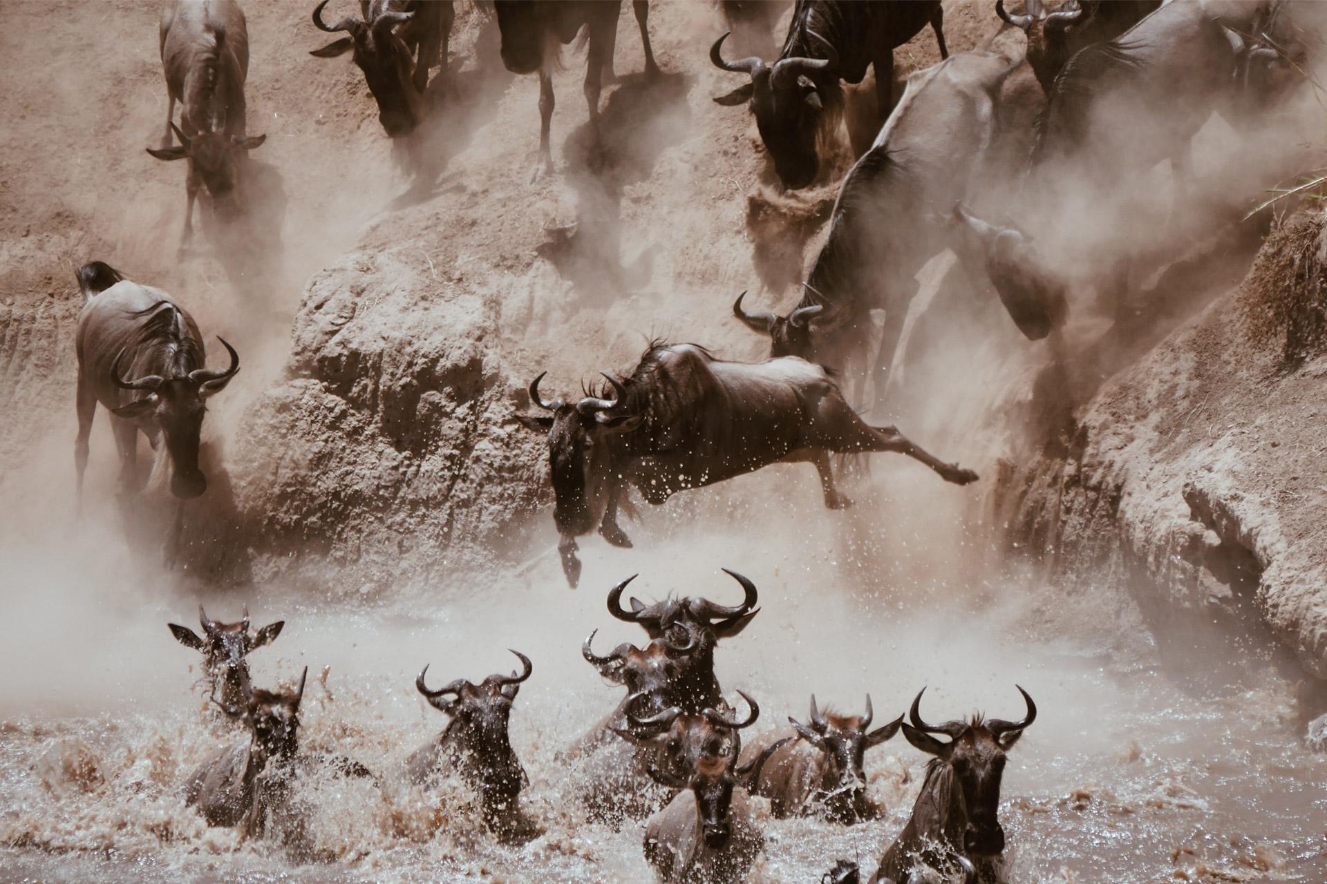 The crossings of the Grumeti and Mara rivers beginning in July are a popular safari attraction because crocodiles are lying in wait.
Photo by <a href="https://unsplash.com/@maur1ts?utm_source=unsplash&utm_medium=referral&utm_content=creditCopyText">Maurits Bausenhart</a> on <a href="https://unsplash.com/s/photos/tanzania?utm_source=unsplash&utm_medium=referral&utm_content=creditCopyText">Unsplash</a>